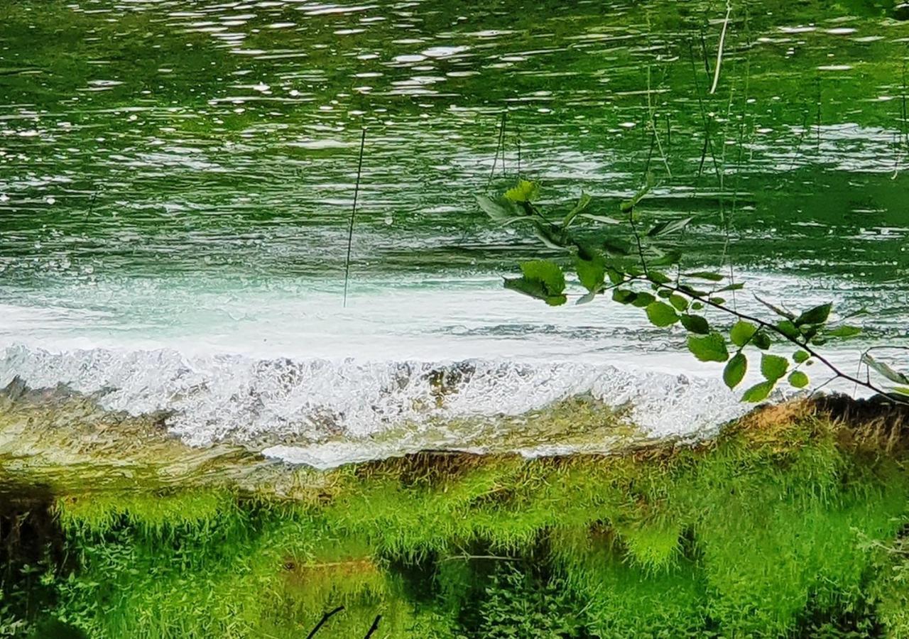 Green Eden Gornji Zvečaj Eksteriør billede